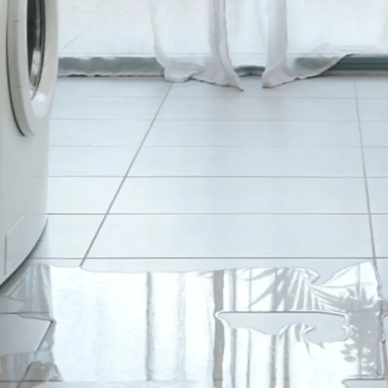 Appliance Leak Cleanup in Bloomington, TX
