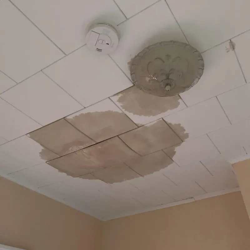 Ceiling Water Damage Repair in Bloomington, TX