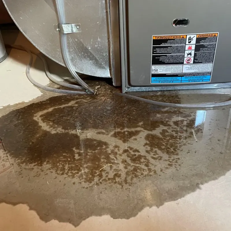 Pipe Burst and Leak Restoration in Bloomington, TX