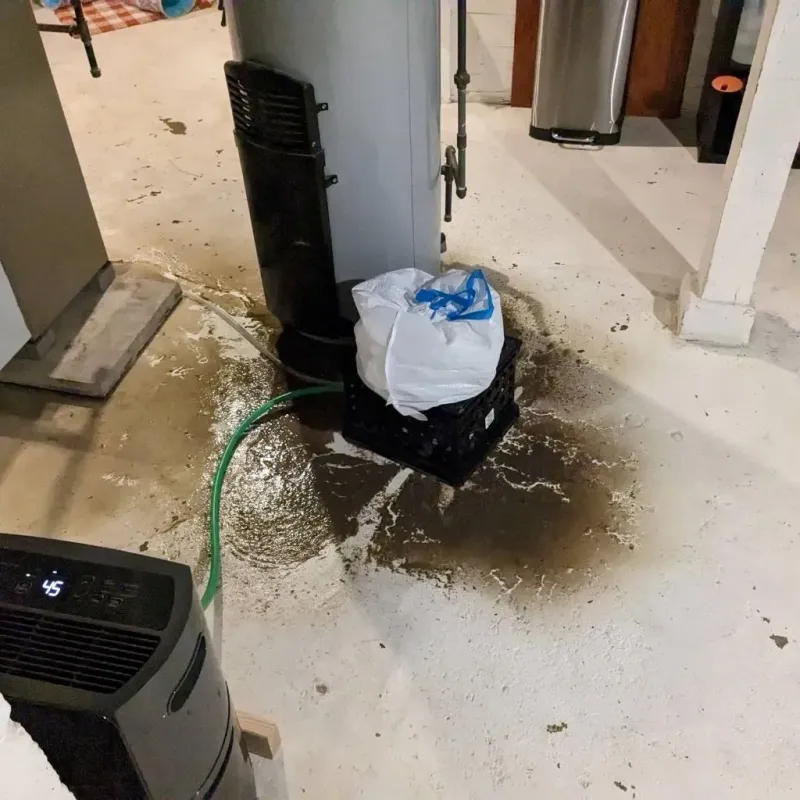 Sewage Backup Cleanup Service in Bloomington, TX